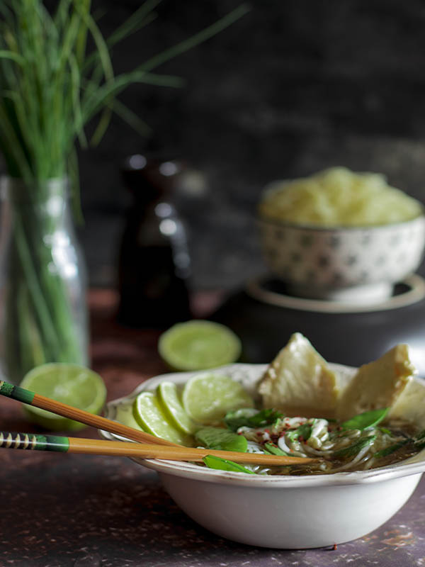 sopa de fideos chinos con pollo